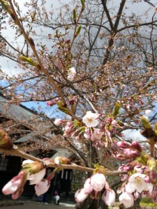 20130428_123544