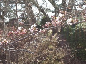20130428_134209