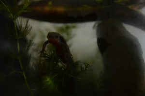 DSC_5050