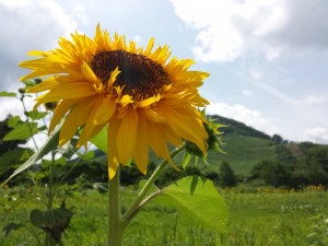 20130813_101245