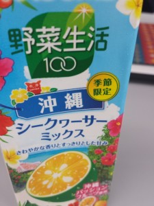 20130816_102332