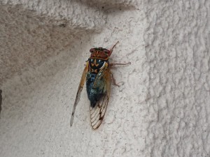 20130829_155220