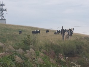 20130913_145740