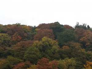20131026_143948