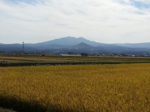 ç°ãã¼