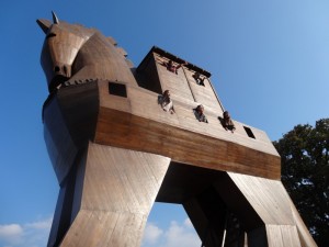 DSC00984