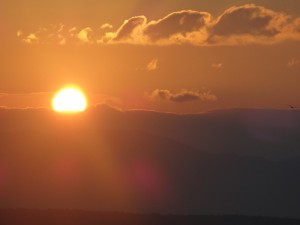 DSC01003
