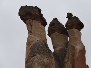 DSC01375