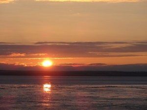 DSC01397