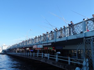 DSC01479