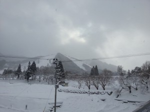 20140113_121048