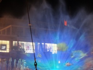 DSC01793