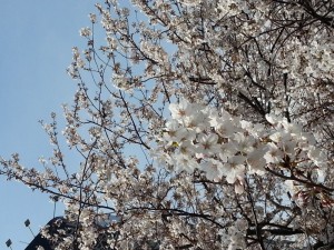 20140401_132816