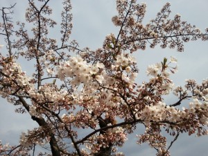 20140422_155619