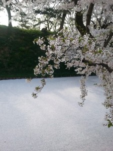 20140428_160300