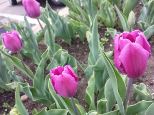 20140502_101919