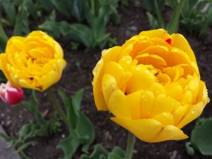 20140502_101943