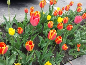 20140502_101957