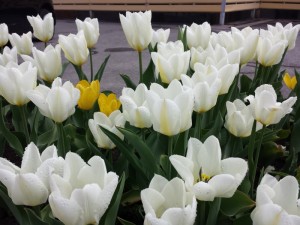 20140502_102018