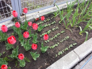 20140502_102057