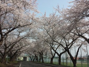 20140503_090117