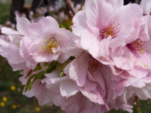 20140503_121632