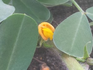20140717_153151