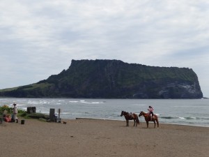 DSC02014