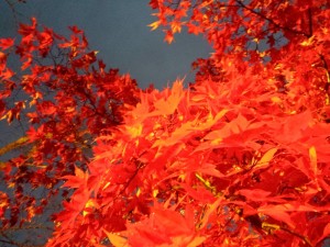 20141102_165439