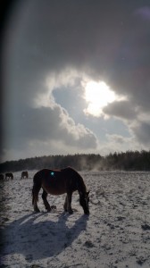 20141221_094121