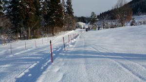 20150111_095242
