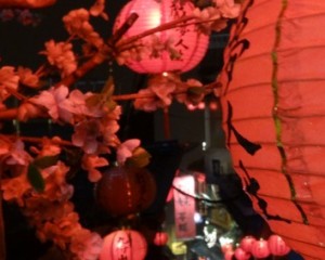 DSC02637