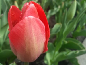 20150415_131039
