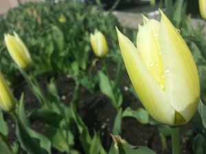 20150415_131115