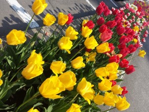 20150430_143938