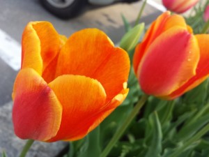 20150430_144203