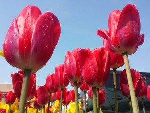 20150430_144325