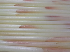 20150529_163041