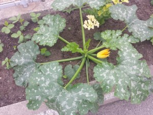 20150626_102050