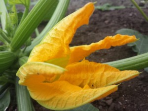 20150626_102104