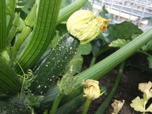 20150715_140136