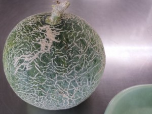 20150818_122031