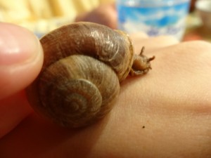 DSC03041