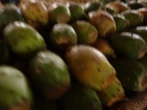 DSC03044
