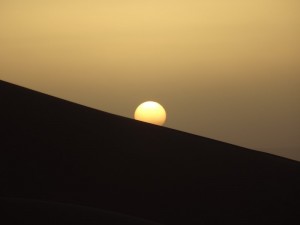DSC05678