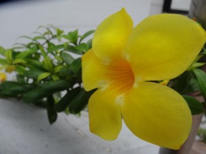 DSC02302