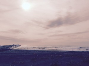 IMG_3041