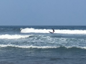 IMG_3350