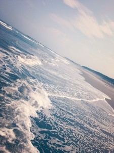 IMG_3351