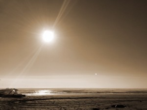 IMG_3648
